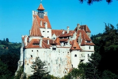 Private tour Castle Dracula