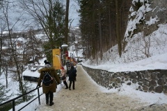 Tour Bran Castle price